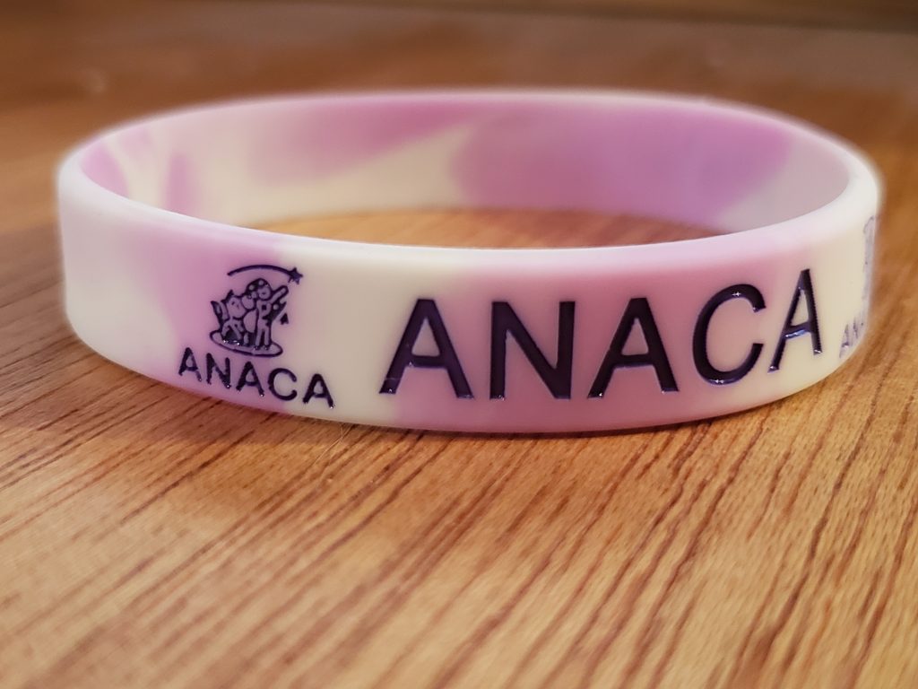 ANACA Wristband